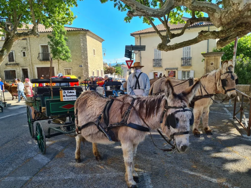 Calèche à la fête de la fraise de Velleron