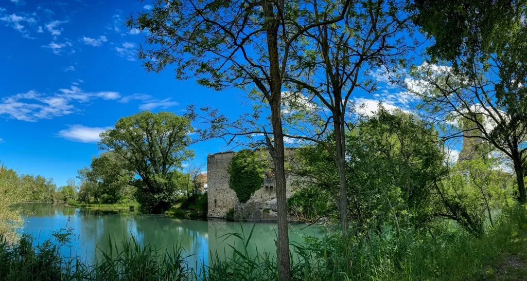 ile miemart roquemaure