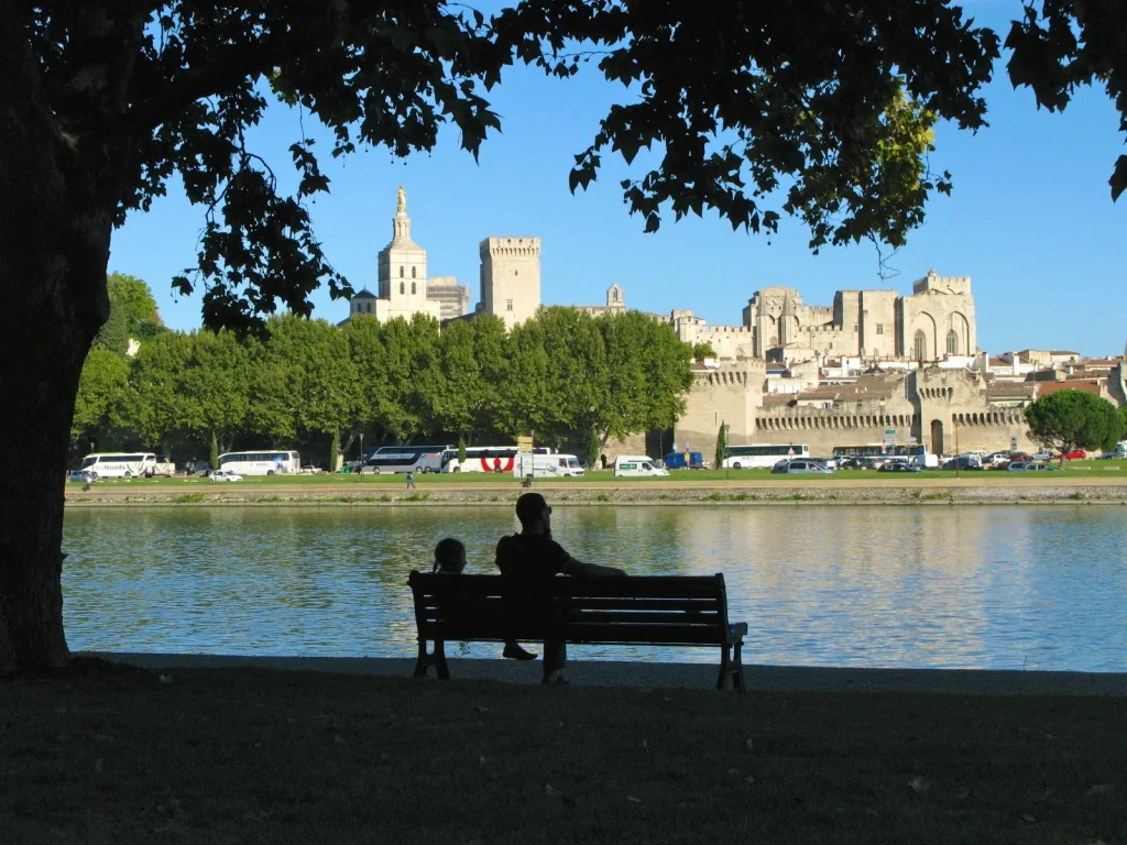 pont avignon ile barthelasse