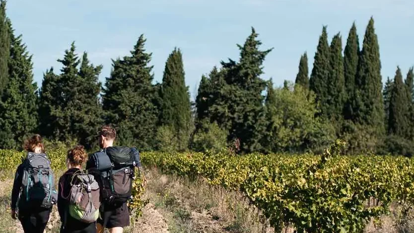Randonnée entre vignes et montagnes rocherfort du gard