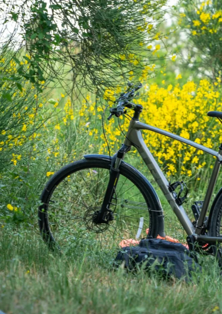 Micro bike adventure of the bridge d