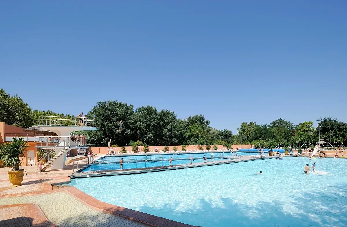piscine olympique des arènes la palmeraie
