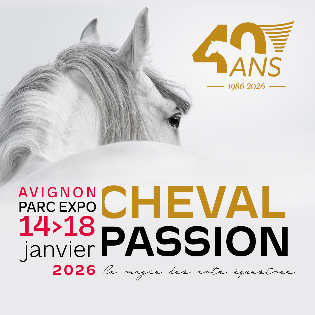 Rare cheval de sport 4ans Pie Isabelle