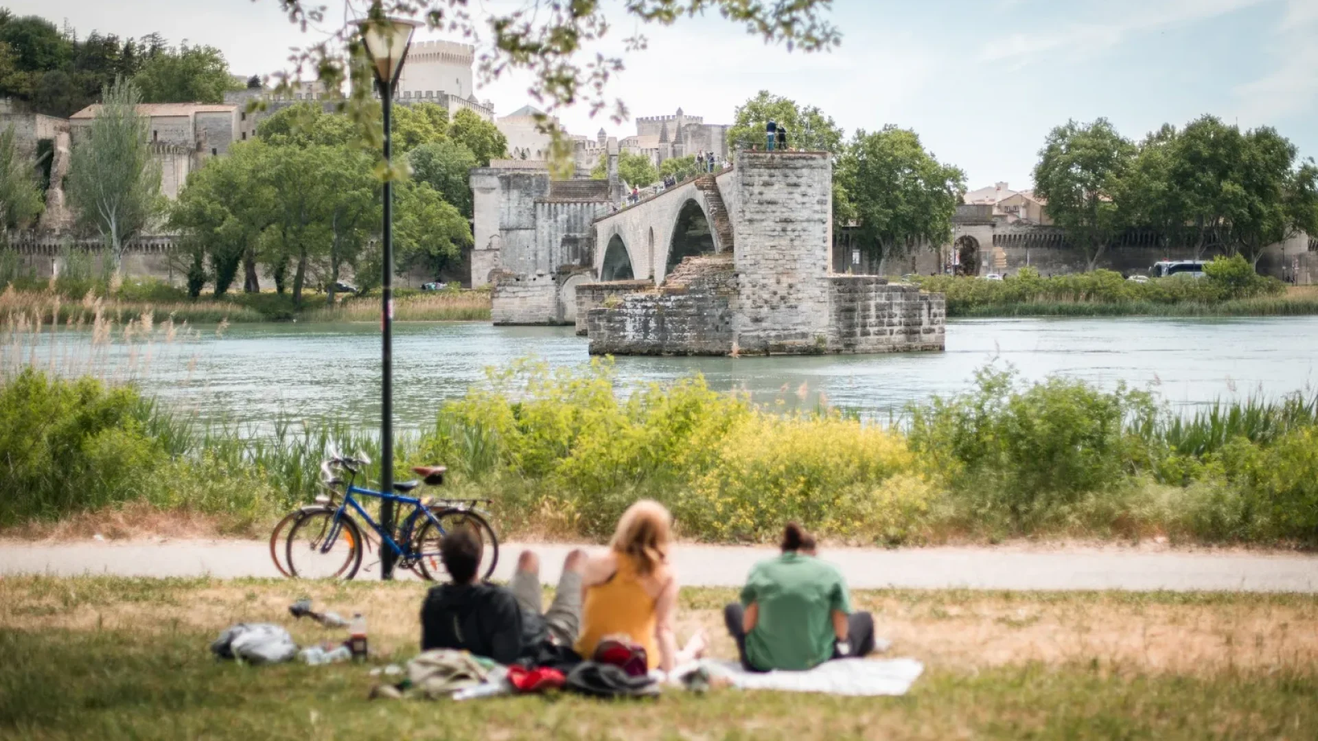 ile-barthelasse-avignon