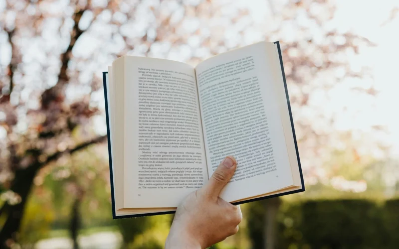 Le Printemps des Poètes dans le Grand Avignon