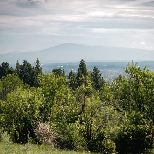 5 idées de balades en famille