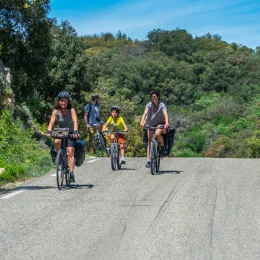 balade vélo pont du gard ont avignon famille