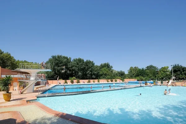 piscine olympique des arènes la palmeraie