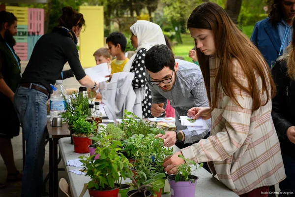 Distribution de plantes lors de faites echo