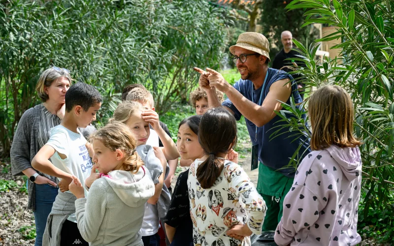 activite enfants faites echo