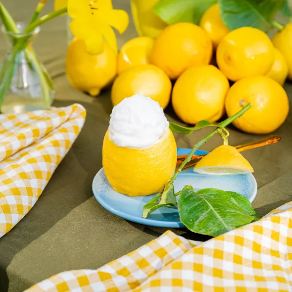 Où manger une glace dans le Grand Avignon ?