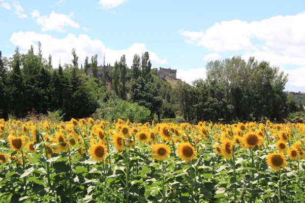 Peut-on randonner en été dans le Grand Avignon ?