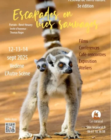 Escapades en vies sauvages