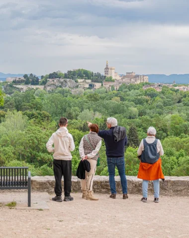 week end famille villeneuve avignon