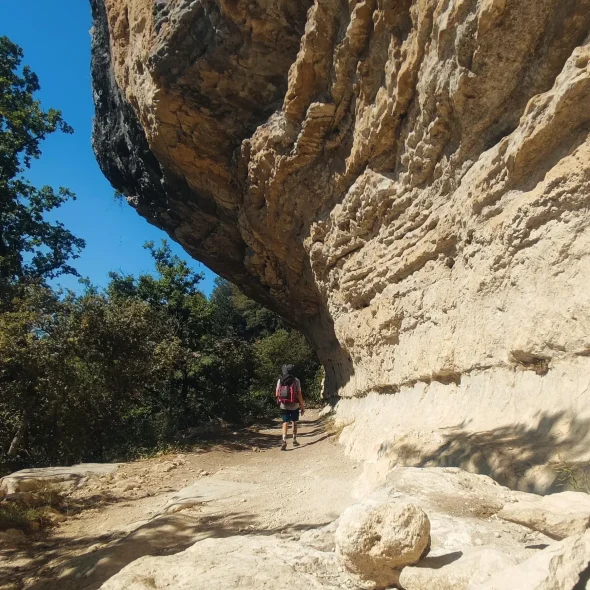 Vaucluse sans faille