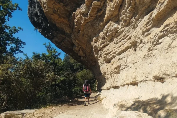 Vaucluse sans faille