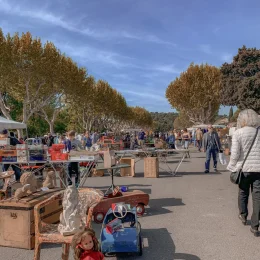 Les évènements locaux à ne pas rater cet automne