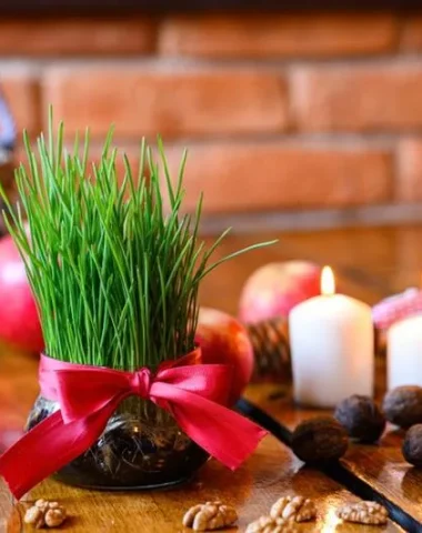 Le blé de la Sainte-Barbe : kesako ?