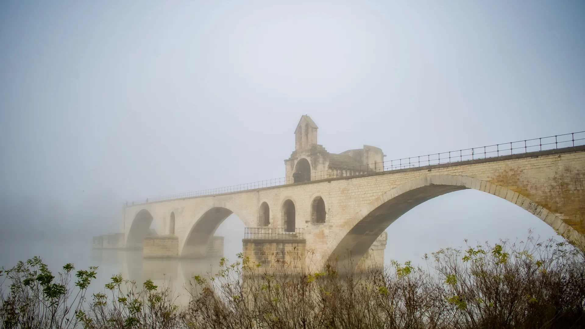 pont avignon