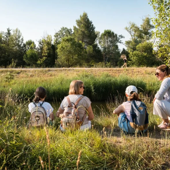 family walk in Avignon