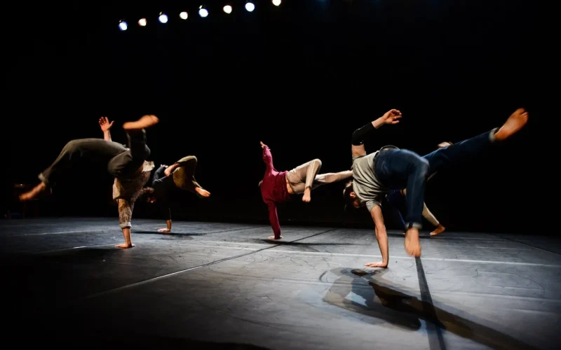 Les Hivernales : Festival de danse (48e édition)