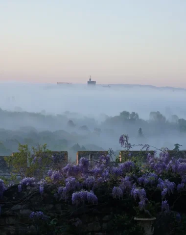 Expo Gustave Fayet et ses jardins imaginaires