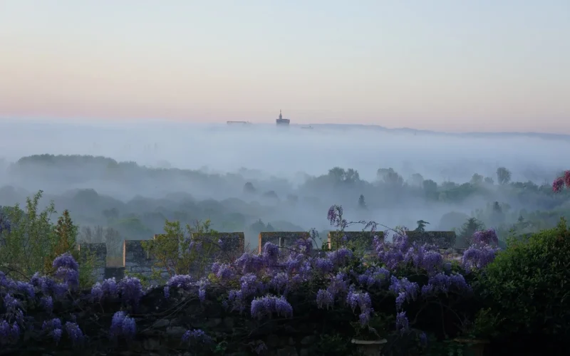 Expo Gustave Fayet et ses jardins imaginaires