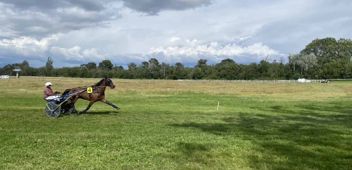 Entrez dans la fête à l’Hippodrome de Roberty