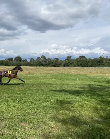 Entrez dans la fête à l’Hippodrome de Roberty