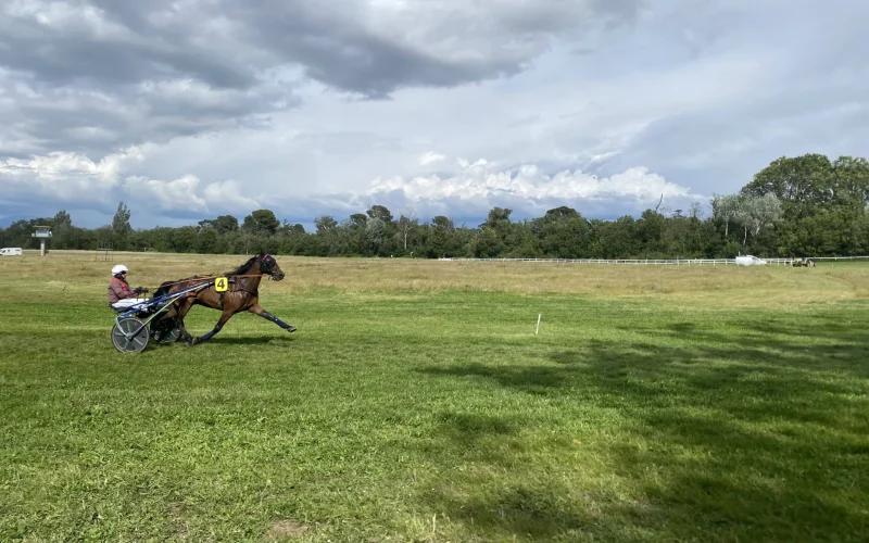 Entrez dans la fête à l’Hippodrome de Roberty