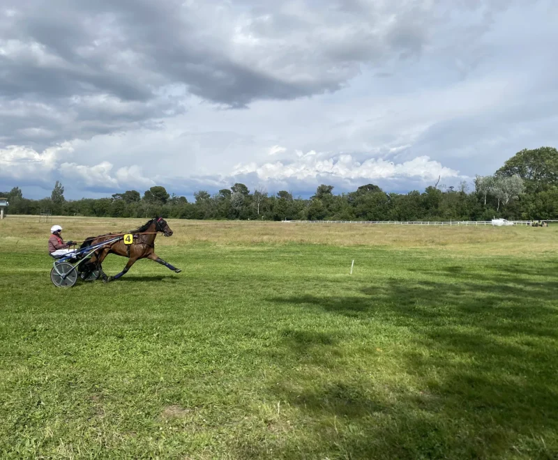 Entrez dans la fête à l’Hippodrome de Roberty