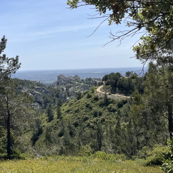 Si Nature