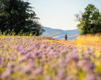 Nouveau : 6 boucles gravel pour parcourir le Grand Avignon 