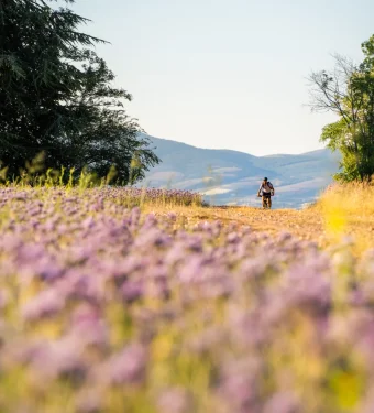 Nouveau : 6 boucles gravel pour parcourir le Grand Avignon 