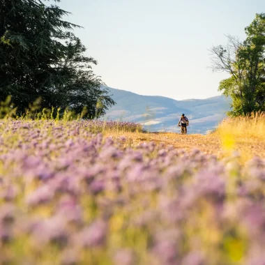 Nouveau : 6 boucles gravel pour parcourir le Grand Avignon 