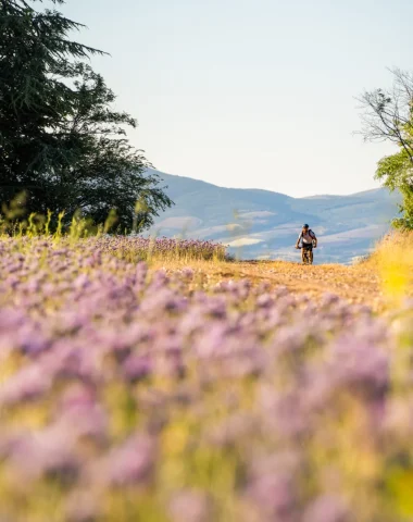 Nouveau : 6 boucles gravel pour parcourir le Grand Avignon 