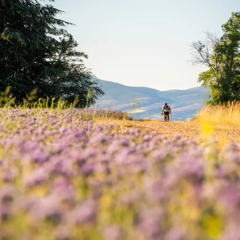 Nouveau : 6 boucles gravel pour parcourir le Grand Avignon 