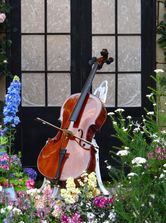 Rendez-vous aux jardins : prendre de la hauteur à l’Abbaye Saint‑André