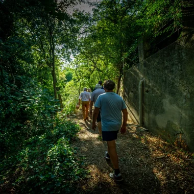 Peut-on randonner en été dans le Grand Avignon ?
