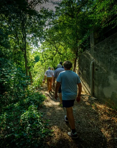 Peut-on randonner en été dans le Grand Avignon ?