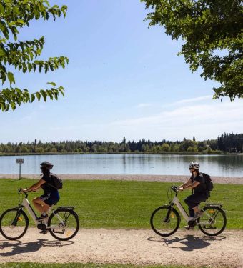 Avignon, un carrefour incontournable pour découvrir la Provence à vélo