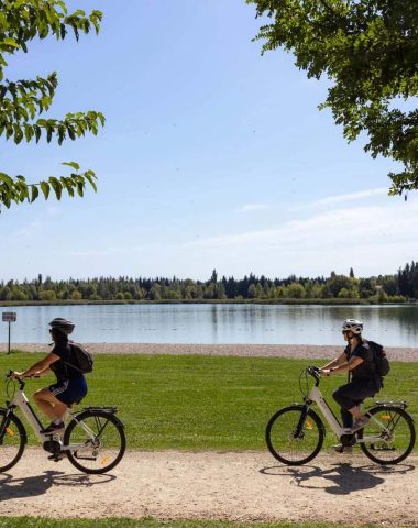 Avignon, un carrefour incontournable pour découvrir la Provence à vélo