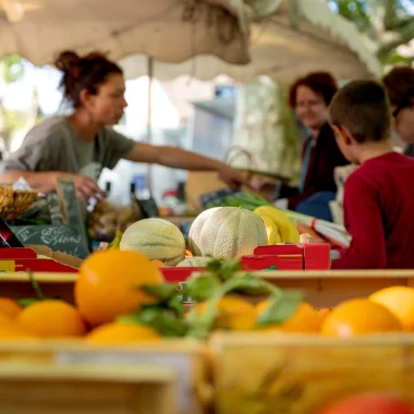 Balades gourmandes dans le Grand Avignon : une expérience sensorielle au cœur du terroir