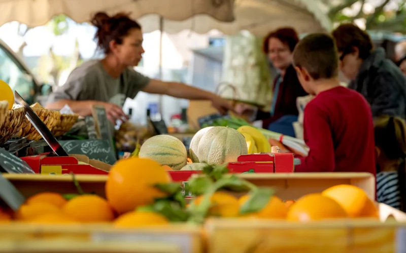 Balades gourmandes dans le Grand Avignon : une expérience sensorielle au cœur du terroir