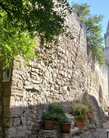 Activités créatives autour d’Avignon : découvrez la Provence autrement