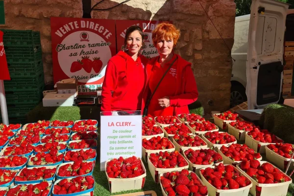 marchands fête fraise velleron