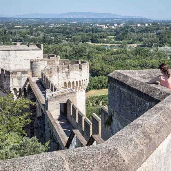 Vue du haut du Fort St-André