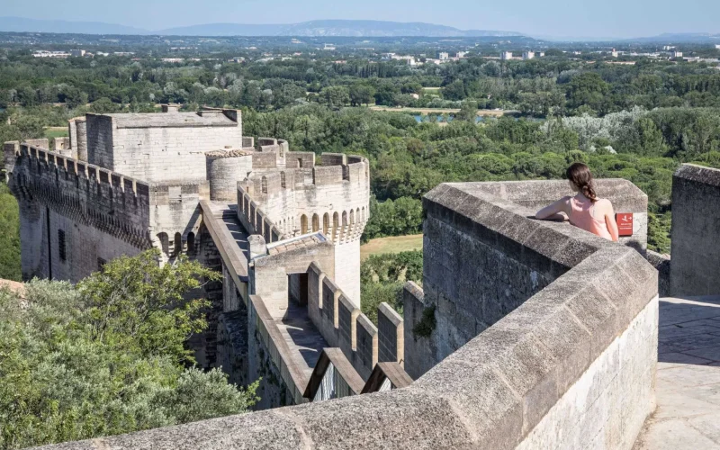 Vue du haut du Fort St-André