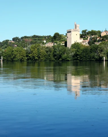 Dans les bras du Rhône 10e édition du 2 au 12 octobre