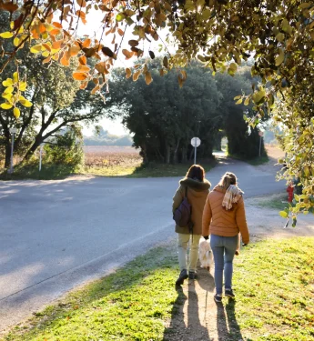 Que faire pendant les vacances d’automne à Avignon ? Le beau, le bon et la nature